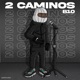2 Caminos Single