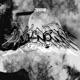 UNKNOWN Single