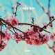 Saku Single