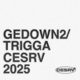 GEDOWN2 TRIGGA Single