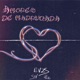 Amores de Madrugada Single