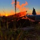 Sunsets Single