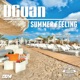 Summer Feeling Single