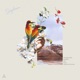 Daydream feat Zes Lilia Grand Pavilion Single