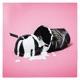 Milkshake Remixes Single