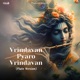 Vrindavan Pyaro Vrindavan Flute Version Single