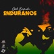 Endurance with House Of Riddim
