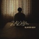 Zakhm Single