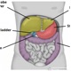 liver w zaya Single