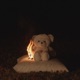 Apocalypse Single