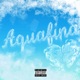 Aquafina Single