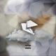 White Dove Single