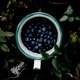 Blueberry Single