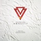Amnesty Single
