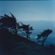 The Sea Ranch Single