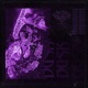 Duskva003 Dawn Edition