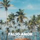 Falso Amor Single