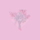 orion Single