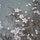 Bloom feat bbdalena Single