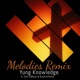 Melodies Remix feat Kutt Calhoun Durell Anthony Single