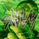 G I Joe Single