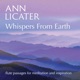 Whispers from Earth