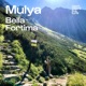 Bella Fortima Single