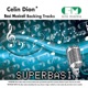 Basi Musicali Celine Dion Karaoke Version