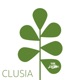 Clusia Single