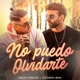 No Puedo Olvidarte Single