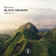 Black Dragon Single