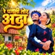 RE PAGLI TOR ADA Single