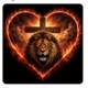 Heart of a lion Single