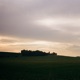 Fields of Green Single