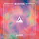 Burning Single