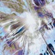 CRTTR CLB 003 EP