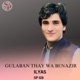 Gulaban Thay Wa Benazir feat Ilyas Single