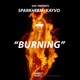 Burning feat Kayvo Single