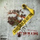 Put em in a Bag feat Brown Single