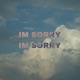 IM SORRY IM SORRY Single