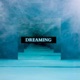Dreaming Single