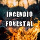 Incendio Forestal Single