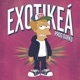 Exotikeá Brvno Single