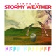 Birds In Stormy Weather Single