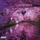 Primavera Single