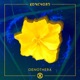 Oenothera EP