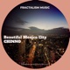 Beautiful Mexico City Single