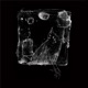 Fire on the Inside EP