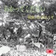 Please Understand feat hagebouzu Single
