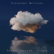 Pocket Tornado Single